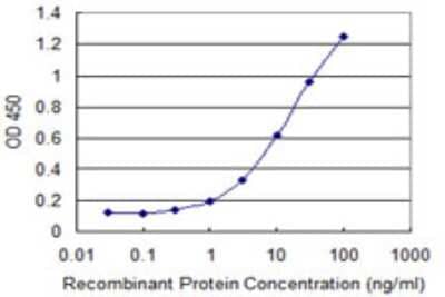 Sandwich ELISA: RAB22A Antibody (2B12) [H00057403-M03] - Detection limit for recombinant GST tagged RAB22A is 0.1 ng/ml as a capture antibody.