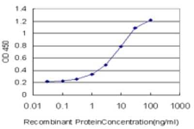 Sandwich ELISA: RAB26 Antibody (2H1) [H00025837-M01] - Detection limit for recombinant GST tagged RAB26 is approximately 1ng/ml as a capture antibody.