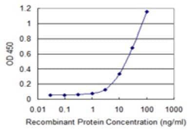 Sandwich ELISA: RAB28 Antibody (2C6) [H00009364-M01] - Detection limit for recombinant GST tagged RAB28 is 1 ng/ml as a capture antibody.