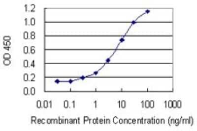 Sandwich ELISA RAB33A Antibody (8A11)