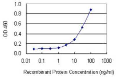 Sandwich ELISA: RAB34 Antibody (3A5) [H00083871-M06] - Detection limit for recombinant GST tagged RAB34 is 1 ng/ml as a capture antibody.