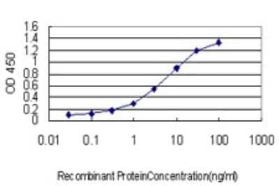 Sandwich ELISA: RAB39B Antibody (1E11) [H00116442-M01] - Detection limit for recombinant GST tagged RAB39B is approximately 0.1ng/ml as a capture antibody.