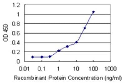 Sandwich ELISA: RAB39B Antibody (3B7) [H00116442-M02] - Detection limit for recombinant GST tagged RAB39B is 0.3 ng/ml as a capture antibody.
