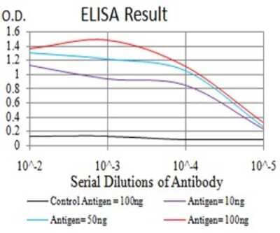 ELISA: RAB6B Antibody (6D12G9) [NBP2-61824] - Black line: Control Antigen (100 ng);Purple line: Antigen (10ng); Blue line: Antigen (50 ng); Red line:Antigen (100 ng)