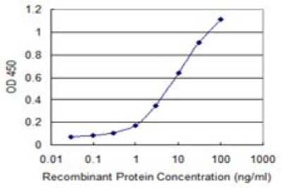 Sandwich ELISA: RAB7B Antibody (1C3) [H00338382-M02] - Detection limit for recombinant GST tagged RAB7B is 0.1 ng/ml as a capture antibody.