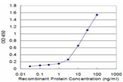 Sandwich ELISA: RABIF/MSS4 Antibody (3A6) [H00005877-M03] - Detection limit for recombinant GST tagged RABIF is approximately 0.1ng/ml as a capture antibody.