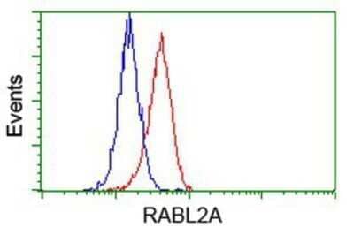 Flow Cytometry RABL2A Antibody (OTI4A8) - Azide and BSA Free