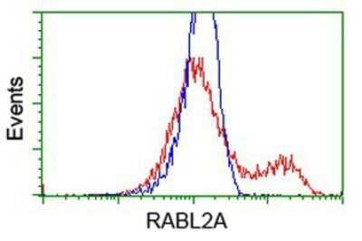 Flow Cytometry: RABL2A Antibody (OTI4A8) - Azide and BSA Free [NBP2-73776] - HEK293T cells transfected with either overexpression plasmid (Red) or empty vector control plasmid (Blue) were immunostaining by anti-RABL2A antibody, and then analyzed by flow cytometry.
