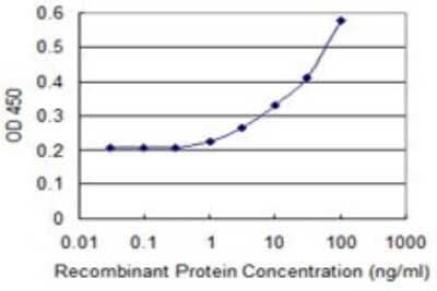 Sandwich ELISA: RAC2 Antibody (3B8) [H00005880-M08] - Detection limit for recombinant GST tagged RAC2 is 1 ng/ml as a capture antibody.