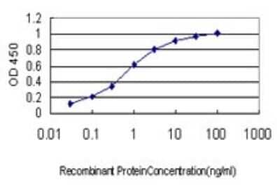 Sandwich ELISA: RAD54B Antibody (4A7) [H00025788-M01] - Detection limit for recombinant GST tagged RAD54B is approximately 0.03ng/ml as a capture antibody.