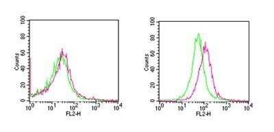 Flow Cytometry: RANK/TNFRSF11A Antibody (64C1385.1) - Azide Free [NBP2-33256] - Analysis of antibody on (a) untreated BALB/c mouse splenocytes and (b) BALB/c mouse splenocytes stimulated with 5 ug/ml ConA for 72 hours. Cells were stained with 2 ug of antibody per 1x10^6 cells. Green represents isotype control; red represents antibody. Image using the PE format of this antibody. Image from the standard format of this antibody.