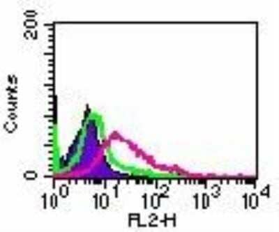 Flow Cytometry: RANK/TNFRSF11A Antibody (64C1385.1) - Azide Free [NBP2-33256] - Analysis on RAW cells using 5 ug of antibody. Shaded histogram represents cells without antibody; green represents isotype control; purple represents antibody. Image using the PE format of this antibody. Image from the standard format of this antibody.