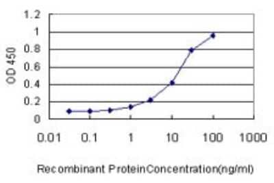 Sandwich ELISA: RAP1GAP Antibody (3G11) [H00005909-M02] - Detection limit for recombinant GST tagged RAP1GA1 is approximately 1ng/ml as a capture antibody.