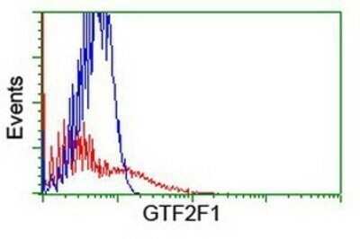 Flow Cytometry: RAP74 Antibody (OTI4B10) - Azide and BSA Free [NBP3-17972] - HEK293T cells transfected with either overexpression plasmid (Red) or empty vector control plasmid (Blue) were immunostaining by anti-RAP74 antibody, and then analyzed by flow cytometry.