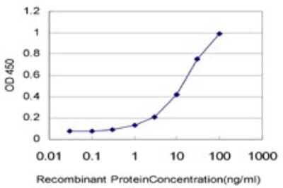 Sandwich ELISA: RASEF Antibody (2D5) [H00158158-M01] - Detection limit for recombinant GST tagged RASEF is approximately 0.3ng/ml as a capture antibody.