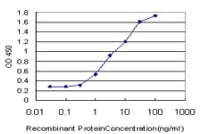 Sandwich ELISA: RASGRP 4 Antibody (1F3) [H00115727-M01] - Detection limit for recombinant GST tagged RASGRP4 is approximately 0.3ng/ml as a capture antibody.