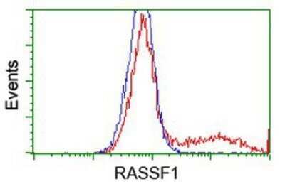 Flow Cytometry: RASSF1 Antibody (OTI2B11) - Azide and BSA Free [NBP2-73786] - HEK293T cells transfected with either overexpression plasmid (Red) or empty vector control plasmid (Blue) were immunostaining by anti-RASSF1 antibody, and then analyzed by flow cytometry.