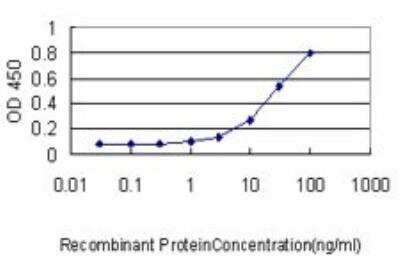 ELISA: RBBP4/RbAp48 Antibody (2D7) [H00005928-M01] - Detection limit for recombinant GST tagged RBBP4 is approximately 0.3ng/ml as a capture antibody.