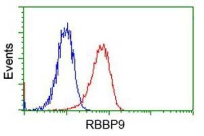 Flow Cytometry: RBBP9 Antibody (OTI4G3) - Azide and BSA Free [NBP2-73828] - Analysis of Jurkat cells, using anti-RBBP9 antibody, (Red), compared to a nonspecific negative control antibody (Blue).