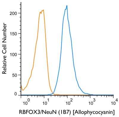 An intracellular stain was performed on SH-SY5Y cells with RBFOXP3/NeuN (1B7) antibody NBP1-92693APC (blue) and a matched isotype control NB600-986APC (orange). Cells were fixed with 4% PFA and then permeablized with 0.1% saponin. Cells were incubated in an antibody dilution of 1 ug/mL for 30 minutes at room temperature. Both antibodies were conjugated to Allophycocyanin.
