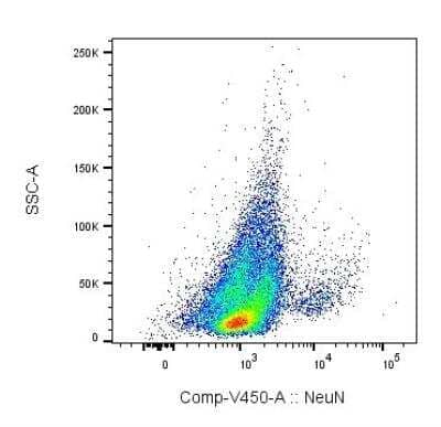 Experimental autoimmune encephalomyelitis was induced in C57BL6/J mice. Mononuclear cells were isolated from the CNS at day 15 (peak of the disease). Cells were stained for NeuN, GFAP, CX3CL1, CXCL12, CCL2, CD45 and CD11b, plus for viability to exclude dead cells. NeuN staining is shown for viable cells. Image from verified customer review.