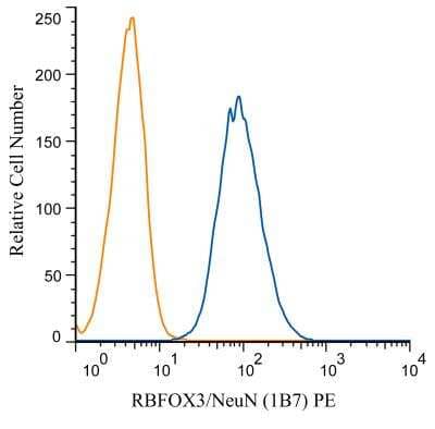 An intracellular stain was performed on SH-SY5Y cells with RBFOX3 (1B7) antibody NBP1-92693PE (blue) and a matched isotype control NB600-986PE (orange). Cells were fixed with 4% PFA and then permeablized with 0.1% saponin. Cells were incubated in an antibody dilution of 1 ug/mL for 30 minutes at room temperature. Both antibodies were conjugated to Phycoerythrin.