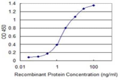 Sandwich ELISA: RBM10 Antibody (2F12) [H00008241-M03] - Detection limit for recombinant GST tagged RBM10 is 0.1 ng/ml as a capture antibody.