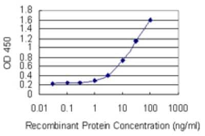 Sandwich ELISA: RBP5 Antibody (4B5) [H00083758-M03] - Detection limit for recombinant GST tagged RBP5 is 0.3 ng/ml as a capture antibody.