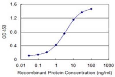 Sandwich ELISA: RCBTB1 Antibody (1E4) [H00055213-M07] - Detection limit for recombinant GST tagged RCBTB1 is 0.03 ng/ml as a capture antibody.