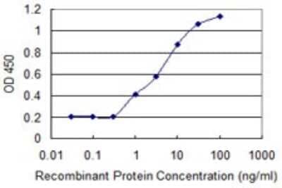 Sandwich ELISA: RCBTB2 Antibody (4G12) [H00001102-M06] - Detection limit for recombinant GST tagged RCBTB2 is 0.3 ng/ml as a capture antibody.