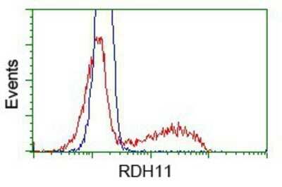 Flow Cytometry: RDH11 Antibody (OTI1B4) - Azide and BSA Free [NBP2-73843] - HEK293T cells transfected with either pCMV6-ENTRY RDH11.(Red) or empty vector control plasmid (Blue) were immunostaining with anti-RDH11 mouse monoclonal, and then analyzed by flow cytometry.