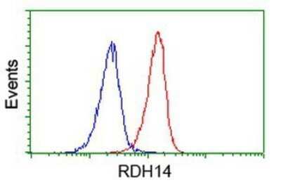 Flow Cytometry: RDH14 Antibody (OTI1A7) - Azide and BSA Free [NBP2-73847] - Analysis of Jurkat cells, using anti-RDH14 antibody, (Red), compared to a nonspecific negative control antibody (Blue).
