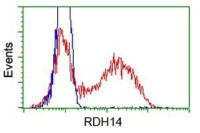 Flow Cytometry: RDH14 Antibody (OTI1A7) - Azide and BSA Free [NBP2-73847] - HEK293T cells transfected with either overexpression plasmid (Red) or empty vector control plasmid (Blue) were immunostaining by anti-RDH14 antibody, and then analyzed by flow cytometry.