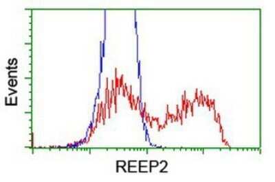 Flow Cytometry: REEP2 Antibody (OTI2C7) - Azide and BSA Free [NBP2-73849] - HEK293T cells transfected with either overexpression plasmid (Red) or empty vector control plasmid (Blue) were immunostaining by anti-REEP2 antibody, and then analyzed by flow cytometry.