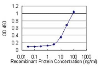 Sandwich ELISA: REEP5 Antibody (3G11) [H00007905-M04] - Detection limit for recombinant GST tagged REEP5 is 1 ng/ml as a capture antibody.