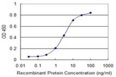 Sandwich ELISA: RENT1/UPF1/hUPF1 Antibody (4G3) [H00005976-M01] - Detection limit for recombinant GST tagged UPF1 is 0.1 ng/ml as a capture antibody.