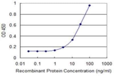 Sandwich ELISA: REXO2 Antibody (2B5) [H00025996-M01] - Detection limit for recombinant GST tagged REXO2 is 1 ng/ml as a capture antibody.