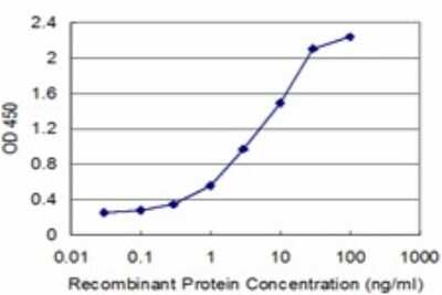 Sandwich ELISA: RFC1 Antibody (3F8) [H00005981-M01] - Detection limit for recombinant GST tagged RFC1 is approximately 0.3ng/ml as a capture antibody.