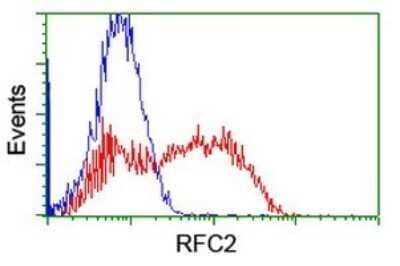 Flow Cytometry: RFC2 Antibody (OTI11C6) - Azide and BSA Free [NBP2-73856] - Analysis of HEK293T cells transfected with either overexpress plasmid(Red) or empty vector control plasmid(Blue) were immunostaining by RFC2 antibody.