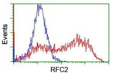 Flow Cytometry: RFC2 Antibody (OTI4C11) - Azide and BSA Free [NBP2-73858] - HEK293T cells transfected with either overexpression plasmid (Red) or empty vector control plasmid (Blue) were immunostaining by anti-RFC2 antibody, and then analyzed by flow cytometry.