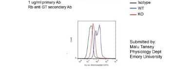 Flow Cytometry: RGS10 Antibody [NBP1-55396] - bone marrow derived monocytes.