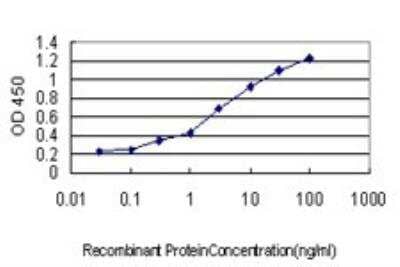 ELISA: RGS2 Antibody (4C4) [H00005997-M01] - Detection limit for recombinant GST tagged RGS2 is approximately 0.1ng/ml as a capture antibody.