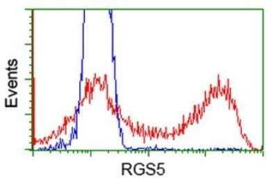 Flow Cytometry: RGS5 Antibody (OTI1C1) - Azide and BSA Free [NBP2-73887] - HEK293T cells transfected with either overexpress plasmid (Red) or empty vector control plasmid (Blue) were immunostaining by anti-RGS5 antibody and then analyzed by flow cytometry.