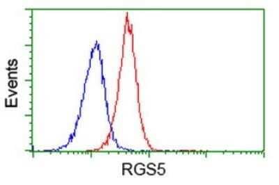 Flow Cytometry: RGS5 Antibody (OTI1C1) - Azide and BSA Free [NBP2-73887] - Flow cytometric Analysis of Jurkat cells, using anti-RGS5 antibody, (Red), compared to a nonspecific negative control antibody, (Blue).