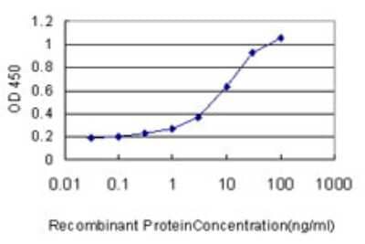 Sandwich ELISA: RHEBL1 Antibody (4G6) [H00121268-M01] - Detection limit for recombinant GST tagged RHEBL1 is approximately 0.1ng/ml as a capture antibody.