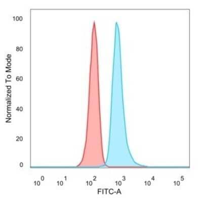 Flow Cytometry: RHOXF2 Antibody (PCRP-RHOXF2-1D7) [NBP3-08529] - Flow Cytometric Analysis of PFA-fixed HeLa cells. RHOXF2 Mouse Monoclonal Antibody (PCRP-RHOXF2-1D7) followed by goat anti- Mouse IgG-CF488 (blue); unstained cells (red).