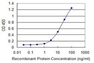 Sandwich ELISA: RING1 Antibody (4E8) [H00006015-M07] - Detection limit for recombinant GST tagged RING1 is 0.3 ng/ml as a capture antibody.