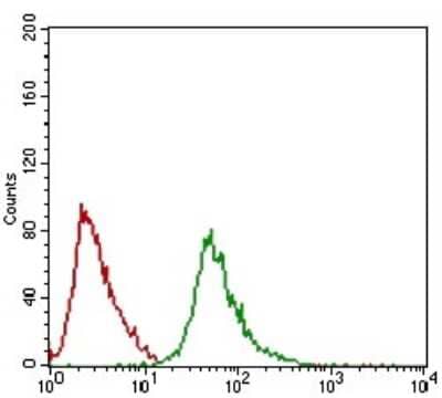 Flow Cytometry: RING1 Antibody (8C12F4) [NBP2-37370] - Analysis of Hela cells using Ring1 mouse mAb (green) and negative control (red).