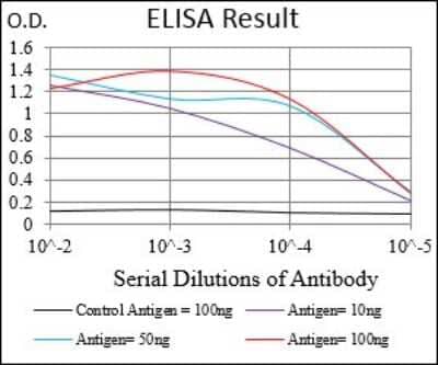 ELISA: RING1 Antibody (8E8A2) [NBP2-37319] - Red: Control Antigen (100ng); Purple: Antigen (10ng); Green: Antigen (50ng); Blue: Antigen (100ng);