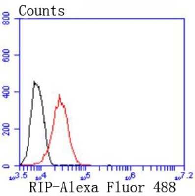Flow Cytometry: RIPK1/RIP1 Antibody (JJ092-08) [NBP2-67905] - Analysis of 293 cells with RIP antibody at 1/50 dilution (red) compared with an unlabelled control (cells without incubation with primary antibody; black). Alexa Fluor 488-conjugated goat anti rabbit IgG was used as the secondary antibody